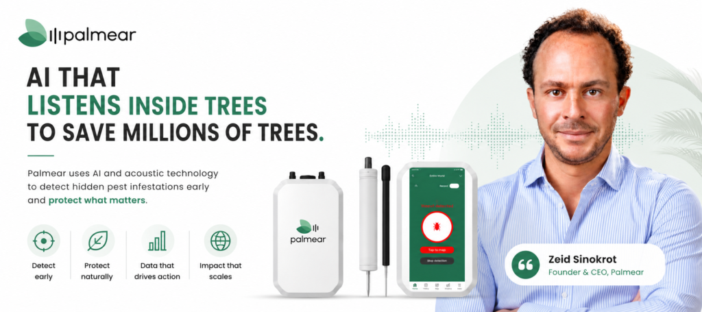 palmear ai startup story in uae