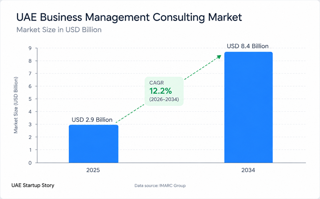 uae business management market size